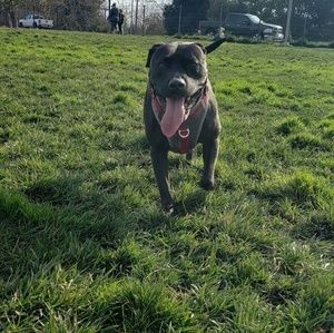 Meet your Posher, Lindsay